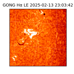 gong - 2025-02-13T23:03:42