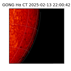 gong - 2025-02-13T22:00:42