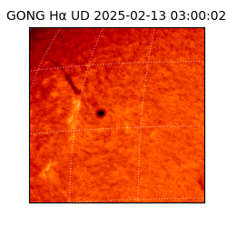 gong - 2025-02-13T03:00:02