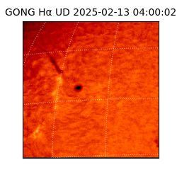 gong - 2025-02-13T04:00:02