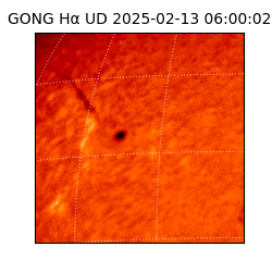 gong - 2025-02-13T06:00:02