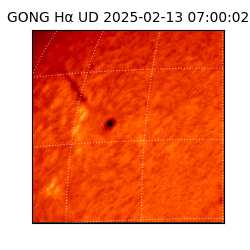 gong - 2025-02-13T07:00:02