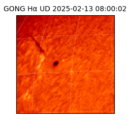 gong - 2025-02-13T08:00:02