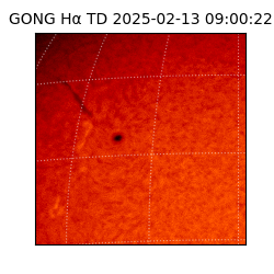 gong - 2025-02-13T09:00:22