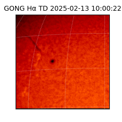 gong - 2025-02-13T10:00:22