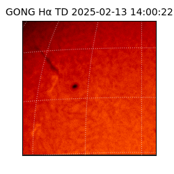 gong - 2025-02-13T14:00:22