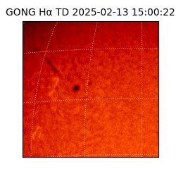 gong - 2025-02-13T15:00:22