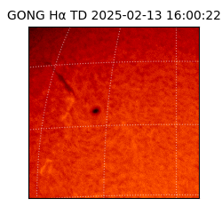 gong - 2025-02-13T16:00:22