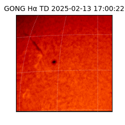 gong - 2025-02-13T17:00:22