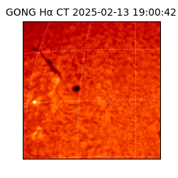 gong - 2025-02-13T19:00:42