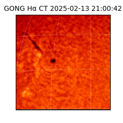 gong - 2025-02-13T21:00:42