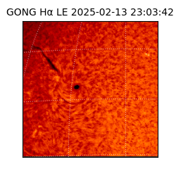 gong - 2025-02-13T23:03:42