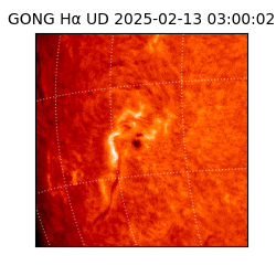 gong - 2025-02-13T03:00:02