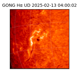 gong - 2025-02-13T04:00:02