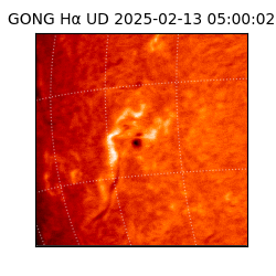 gong - 2025-02-13T05:00:02