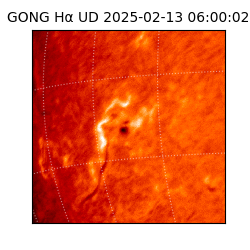 gong - 2025-02-13T06:00:02