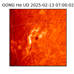 gong - 2025-02-13T07:00:02