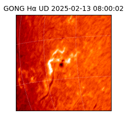 gong - 2025-02-13T08:00:02