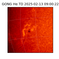 gong - 2025-02-13T09:00:22