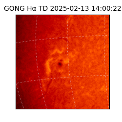 gong - 2025-02-13T14:00:22