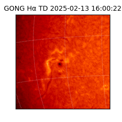 gong - 2025-02-13T16:00:22