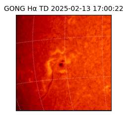 gong - 2025-02-13T17:00:22