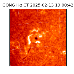 gong - 2025-02-13T19:00:42