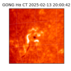 gong - 2025-02-13T20:00:42