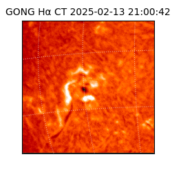 gong - 2025-02-13T21:00:42