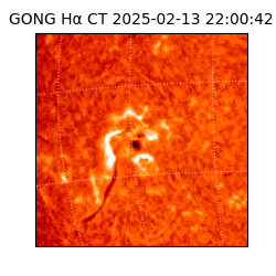 gong - 2025-02-13T22:00:42