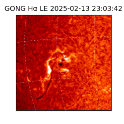 gong - 2025-02-13T23:03:42