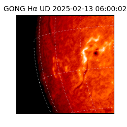 gong - 2025-02-13T06:00:02