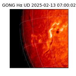 gong - 2025-02-13T07:00:02