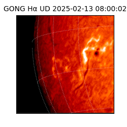 gong - 2025-02-13T08:00:02