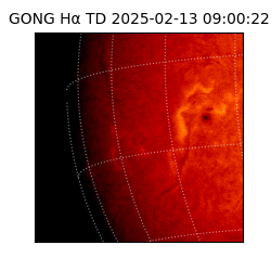 gong - 2025-02-13T09:00:22