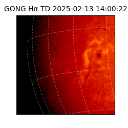 gong - 2025-02-13T14:00:22