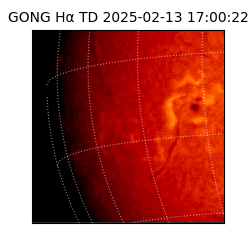 gong - 2025-02-13T17:00:22