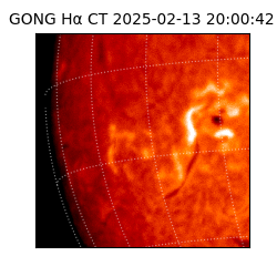 gong - 2025-02-13T20:00:42
