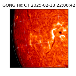 gong - 2025-02-13T22:00:42