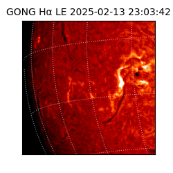 gong - 2025-02-13T23:03:42