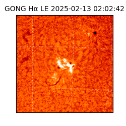 gong - 2025-02-13T02:02:42