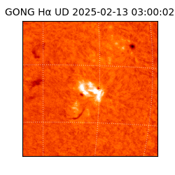 gong - 2025-02-13T03:00:02