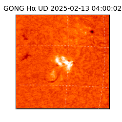 gong - 2025-02-13T04:00:02