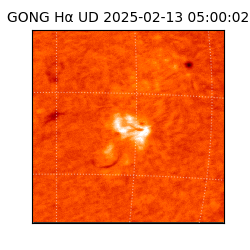 gong - 2025-02-13T05:00:02