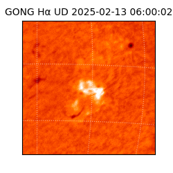 gong - 2025-02-13T06:00:02