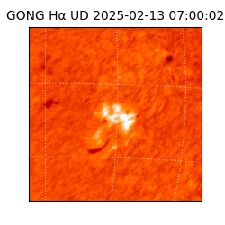 gong - 2025-02-13T07:00:02