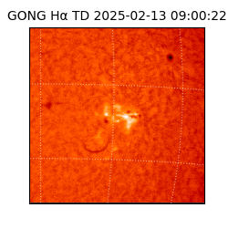 gong - 2025-02-13T09:00:22