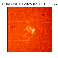 gong - 2025-02-13T10:00:22