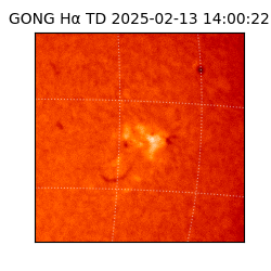 gong - 2025-02-13T14:00:22