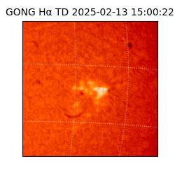 gong - 2025-02-13T15:00:22